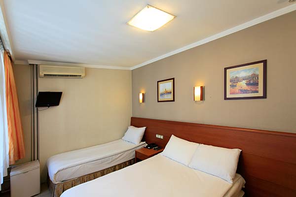 Std. Twin Bed Room